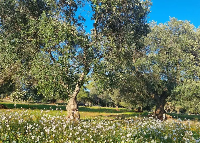 I Trulli Di Spinaruta