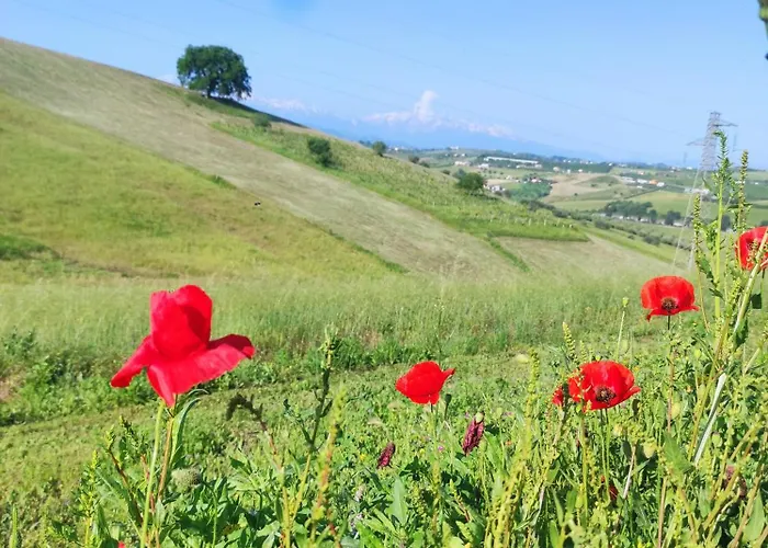 B&B Gli amici del tubarello