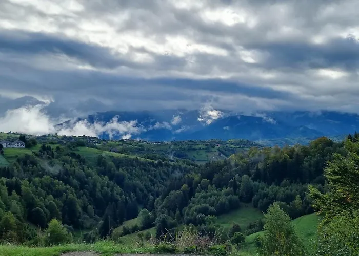 Mosorel