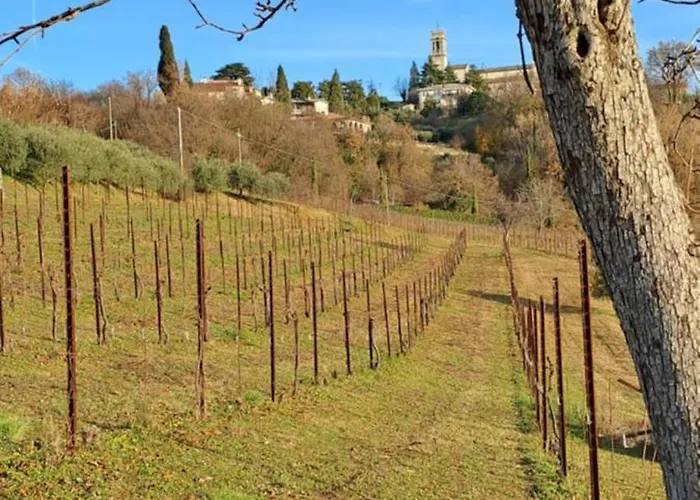 Il giuggiolo