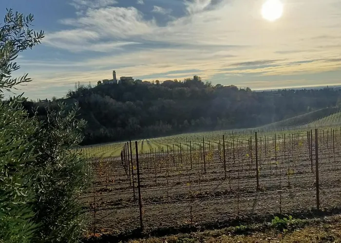 Il Giuggiolo