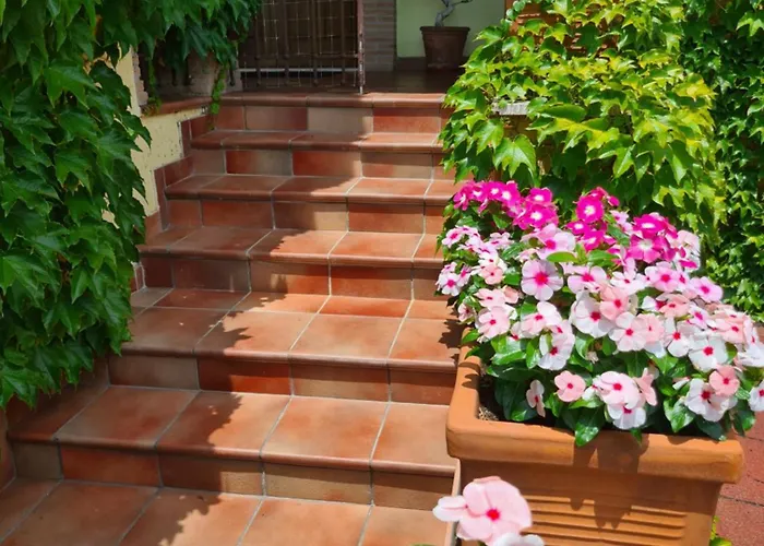 Villa Olga B&B
