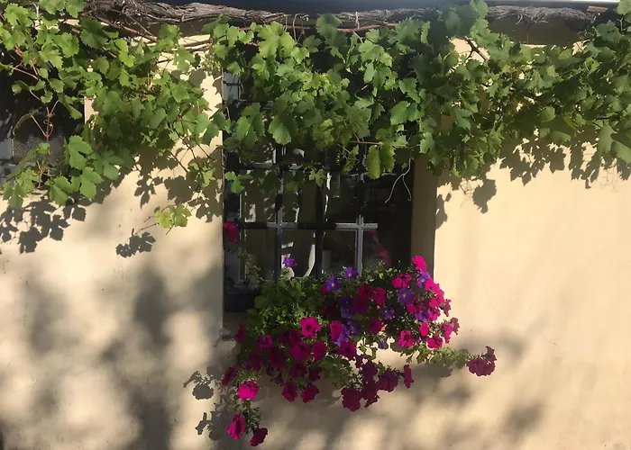 La Vigne