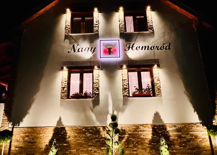 Sighisoara Bed & Breakfasts 