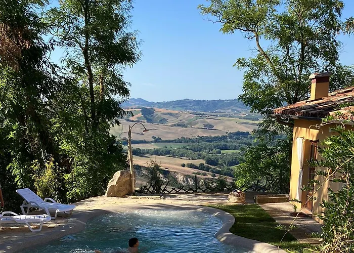 B&B Cal Torello
