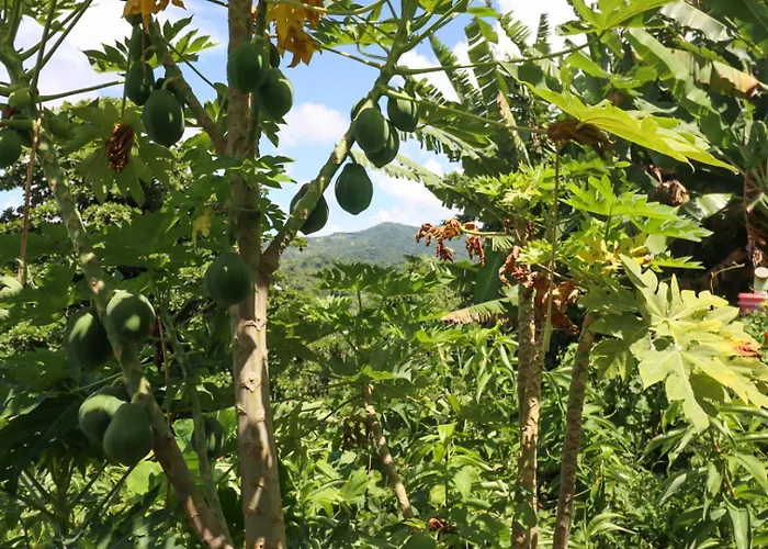 La Casa De Vida Natural