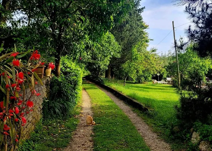 La Tenuta Del Conte