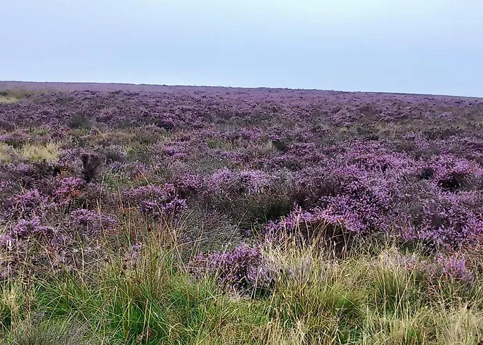 Littlebeck