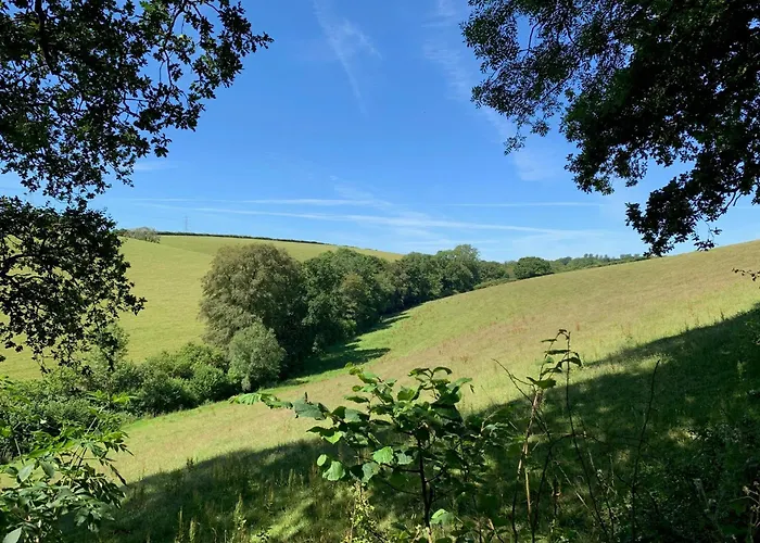 Tregondale Manor Farm