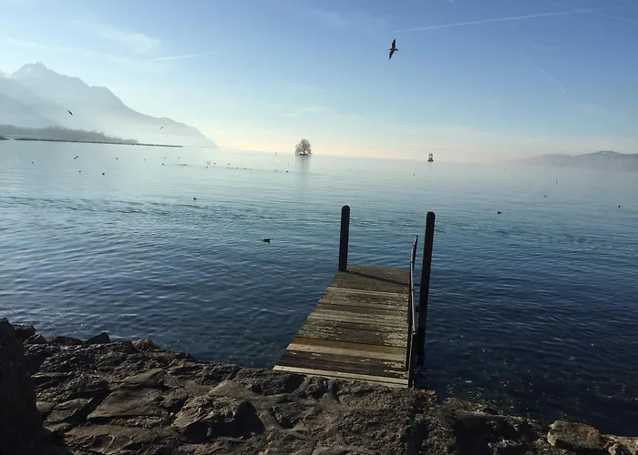 Magie Du Leman