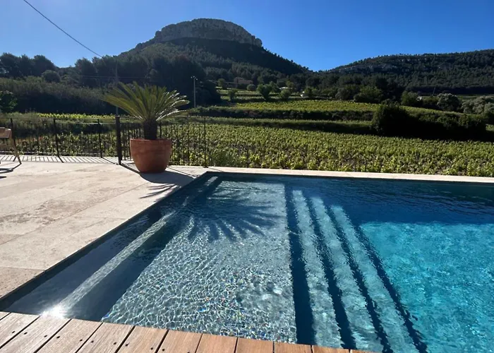 Cote Vignes Cassis
