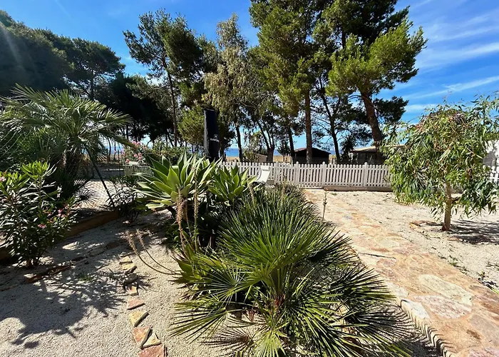 L'oasi Una Pineta Sul Mare