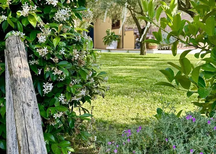 Villa C Luxury Estate
