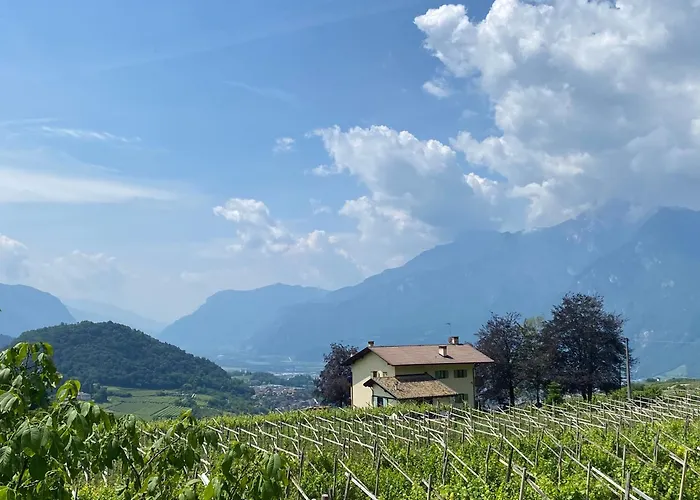 B&B La Casa In Collina