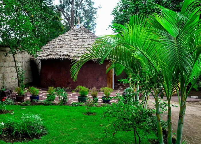 Charming Eco-Homestay Near Kilimanjaro International Airport