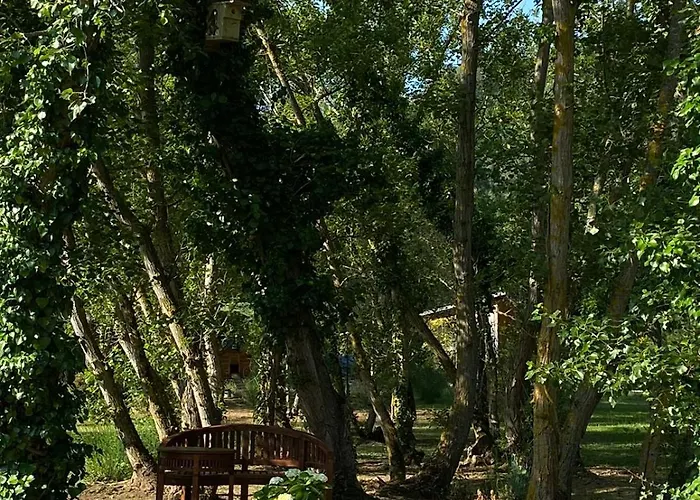 Le Parc - Suite Climatisee