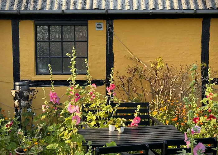 Dyrlev Bed & Breakfast