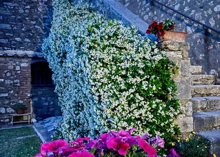 Residenza Santa Maria In Borraccia