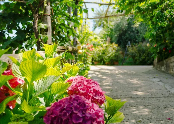 Rosa e Valentino