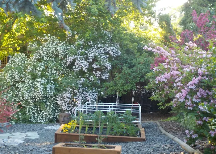 Dogwood Bed & Breakfast