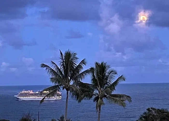 Hawaii Magic Skies B&B Farmstay