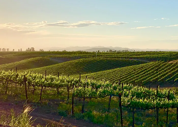 Domaine Chardonnay
