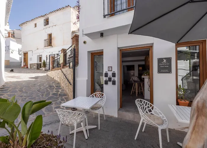 Olive & Ivy Guest House