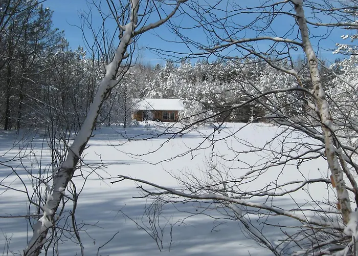 Collingwood Bed & Breakfasts 