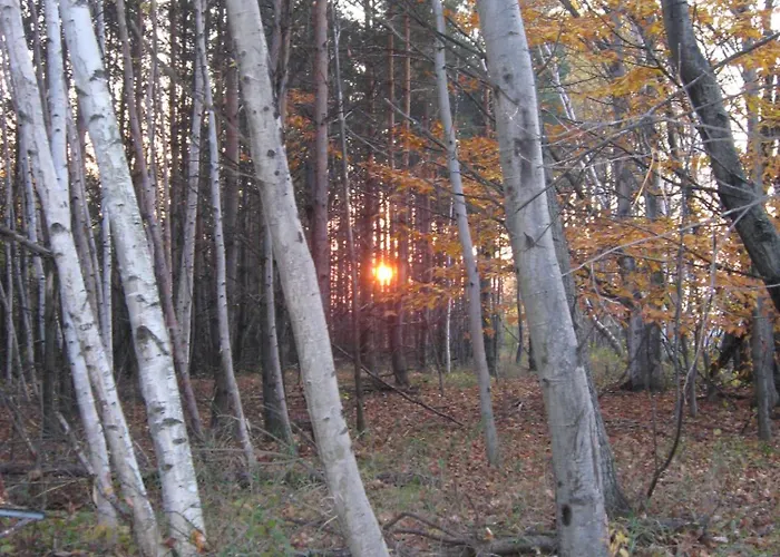Nottawasaga Hideaway Bed And Breakfast