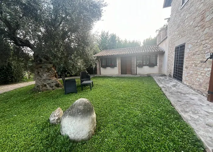 B&B L'Ulivo Incantato