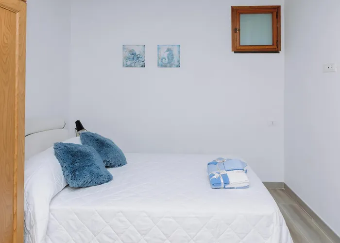 Modianus Suite