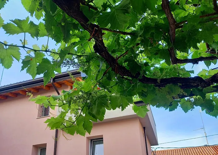 B&B La dolce Vite