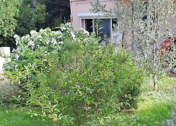 Ecolieu La Pepiniere