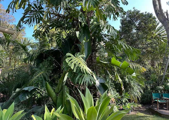 Palm Beach Bed & Breakfast