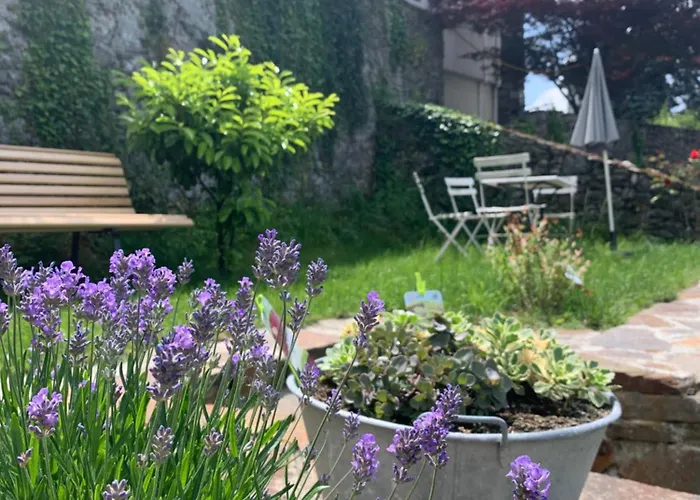 Au Cheval Blanc - Appartements Et Chambres D'Hotes