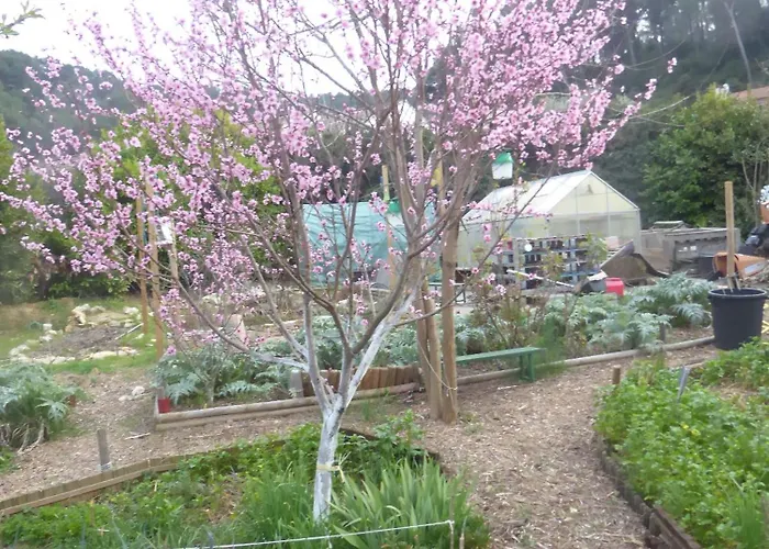 Ecolieu La Pepiniere