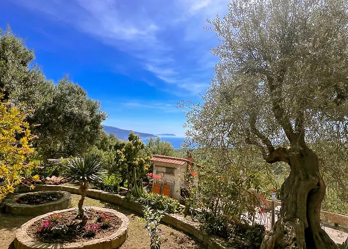 Casal Velino Bed & Breakfasts 