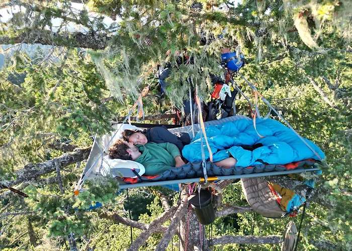 Tree Climbing At Silver Falls