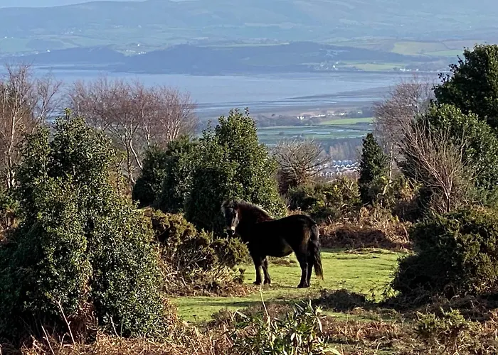 Exmoor Retreat On Two Moors Way