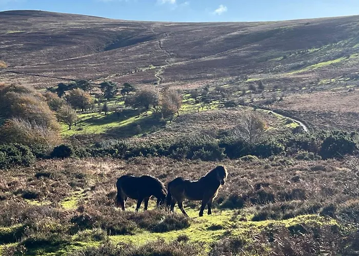 Exmoor Retreat On Two Moors Way