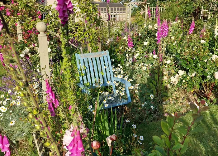 Haverfordwest Bed & Breakfasts 