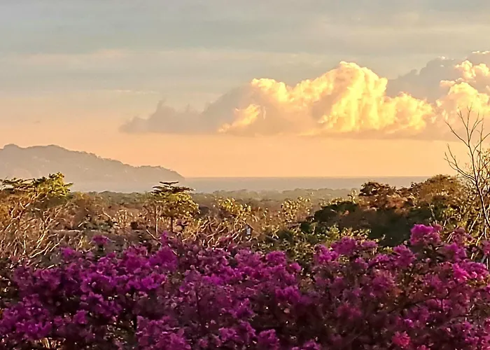 Tucanes Ridge Bed And Breakfast