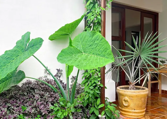 Casa Balam Bed & Breakfast Boutique