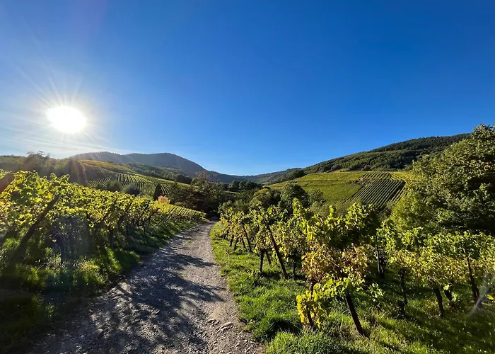 Chambre Du Vigneron - Domaine Leon Bleesz