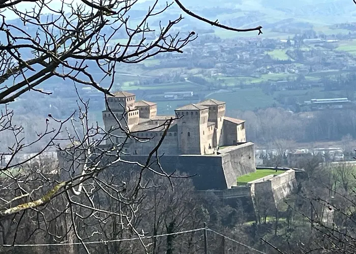 Acero Giallo