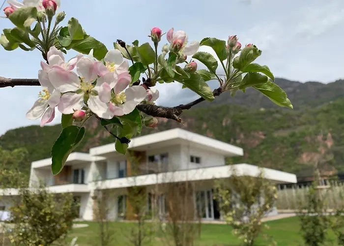 Pitla Cuna - Eco Relais
