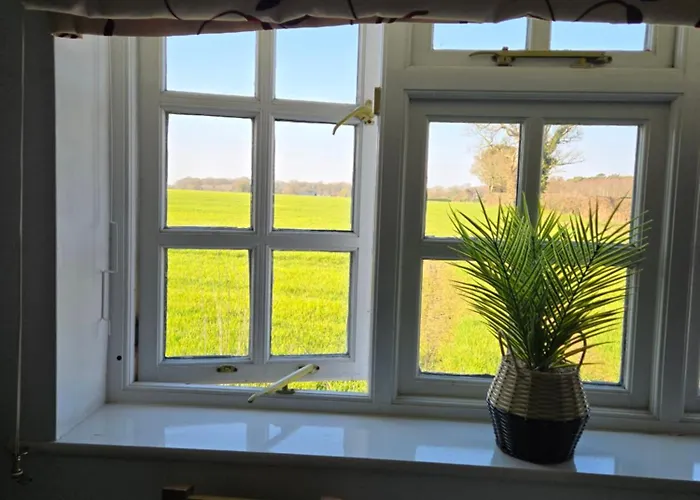 Wayside B&B