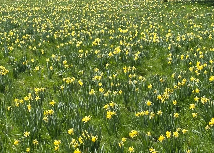 B&B Biel-Bruegg