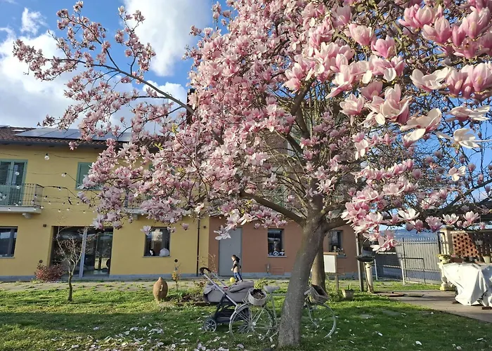 Villa Albina