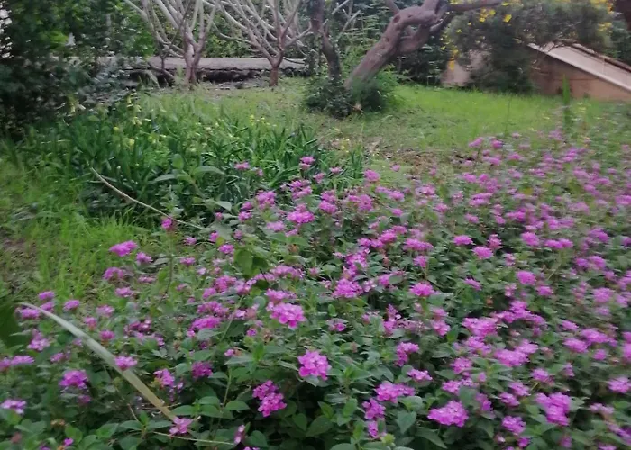 DOMUS CORALLA BnB Racconti Di Viaggio